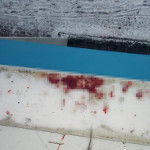 Кровавый бой