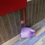 Соседи оставляют мусор в подъезде