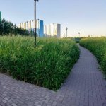 Набережная Волга Лайф в Твери