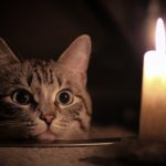 Очередное отключение электричества в ЖК Волга Лайф