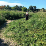 В Волга Лайф скосили траву на берегу реки Волга