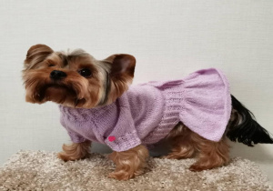 Uma.Emi одежда для маленьких собак