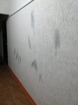 Кровавый бой