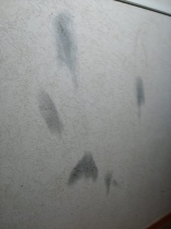 Кровавый бой