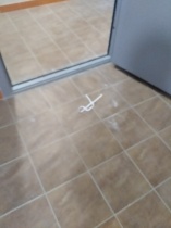 Захламление общего имущества. Управляющая компания