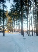 Строительство Западного моста в Твери