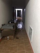 Регулярные потопы в ЖК Волга Лайф