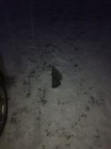 Разбили окно на автомобиле