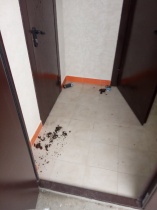 Житель угрожает соседям и мусорит в подъезде